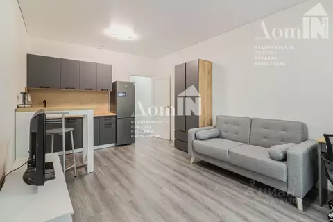 Студия Санкт-Петербург просп. Обуховской обороны, 36 (26.1 м)