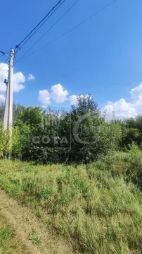 Участок в Воронежская область, с. Новая Усмань, Отрада СНТ ул. ...