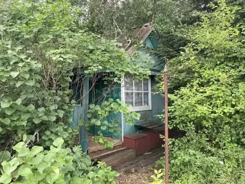 Участок в Амурская область, Благовещенск Росинка СНТ,  (9.5 сот.)