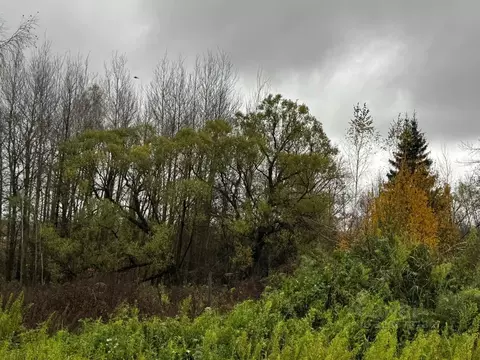 Участок в Московская область, Солнечногорск городской округ, д. ...