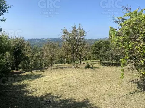 Участок в Краснодарский край, Сочи городской округ, с. Нижняя Шиловка ...