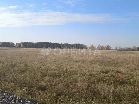 Участок в Тюменская область, Тюменский муниципальный округ, с. Борки  ...