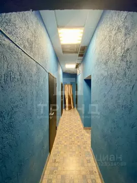 6-к кв. Санкт-Петербург ул. Егорова, 18 (242.3 м)