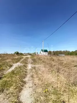 Участок в Калининградская область, Гурьевский муниципальный округ, ...