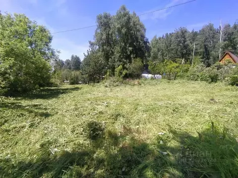 Участок в Алтай, Майминский район, пос. Рыбалка Дачная ул. (7.0 сот.)
