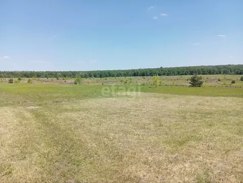 Участок в Белгородская область, Старооскольский городской округ, с. ...