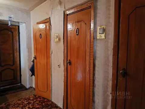 2-к кв. Ростовская область, Новочеркасск Баклановский просп., 79 (48.9 ...