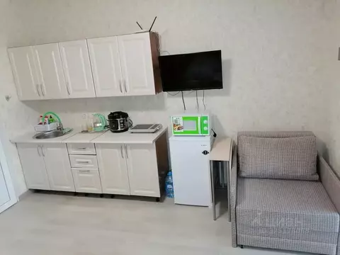 Студия Севастополь с. Орловка, ш. Качинское, 33Б (25.0 м)