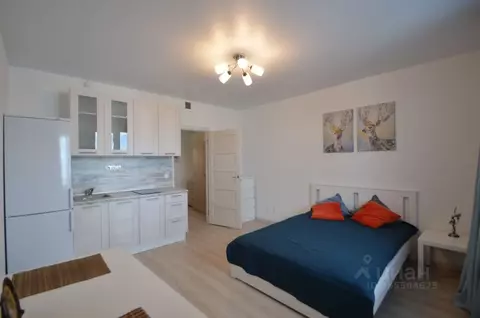 Студия Санкт-Петербург Парашютная ул., 42к1 (28.0 м)