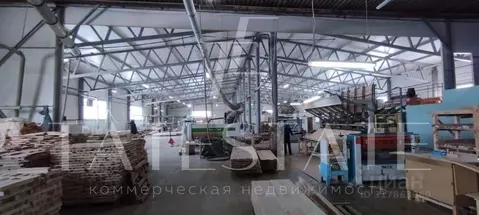 Производственное помещение в Татарстан, Казань Залесная ул., 131 (3000 ...