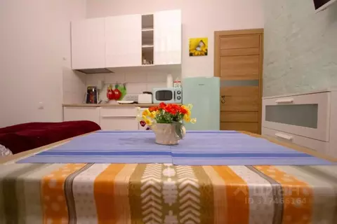 1-к кв. Санкт-Петербург Адмиралтейская наб., 10 (15.0 м)