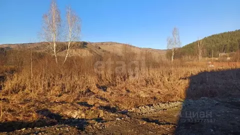 Участок в Алтай, Майминский район, с. Кызыл-Озек ул. Радужная, 29 ...