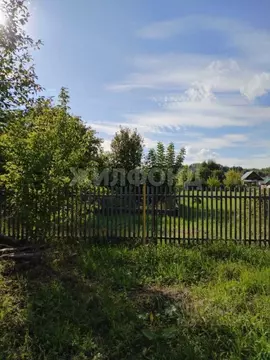 Участок в Новосибирская область, Колывань рп ул. Набережная (22.0 ...