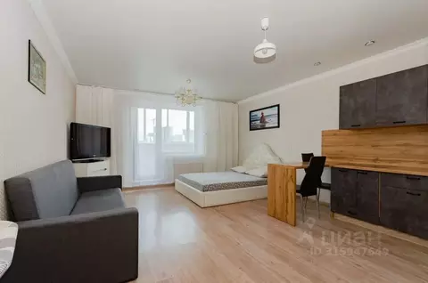 Студия Челябинская область, Челябинск Университетская Набережная ул., ...