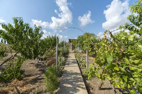 Дом в Крым, Бахчисарайский район, Энтузиаст СПК ул. Дорожная (78 м)