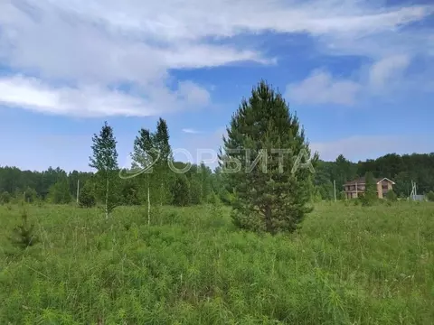 Участок в Тюменская область, Тюменский муниципальный округ, с. Кулига ...