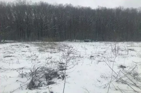 Участок в Московская область, Зарайск муниципальный округ, д. Авдеево  ...