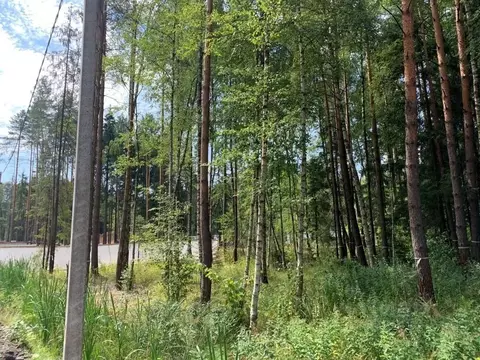 Участок, 25.8 сот., поселения (ижс)