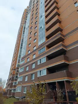 1-к кв. Санкт-Петербург дор. Кушелевская, 7к3 (40.0 м)