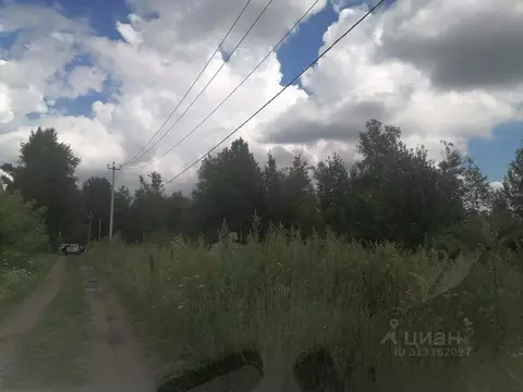 Участок в Томская область, Томский район, Лесная дача СНТ 569 (7.5 ...