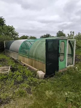 Участок в Омская область, Омский район, Дружинское с/пос, Яблонька СНТ ...