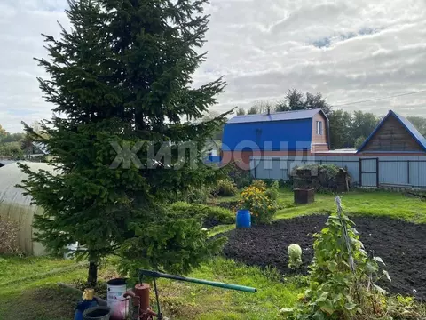 Дом в Новосибирская область, Новосибирск  (32 м)