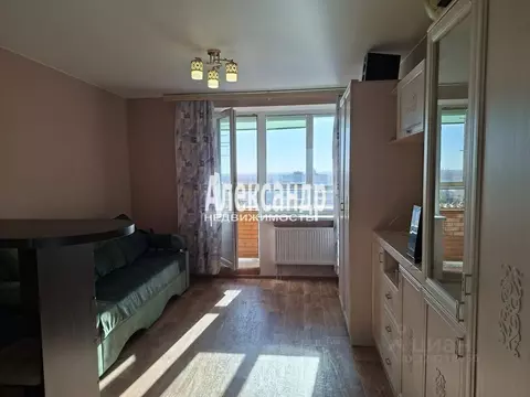 Студия Санкт-Петербург пос. Металлострой, Полевая ул., 9 (26.4 м)