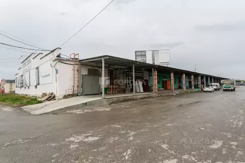 Склад в Новосибирская область, Новосибирск Толмачевская ул., 19Ак2 ...