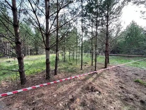 Участок в Тюменская область, Тюменский муниципальный округ, с. Успенка ...