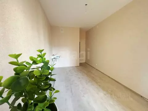 1-к кв. Ленинградская область, Мурино Всеволожский район, ул. Шоссе в ...