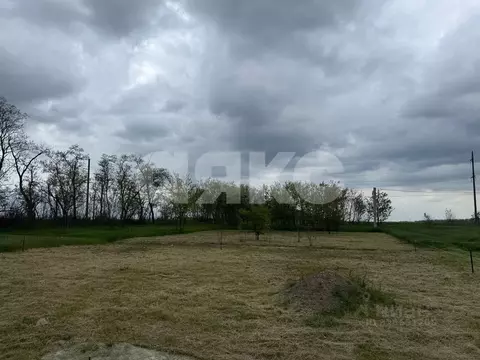 Участок в Краснодарский край, Кореновск ул. Чапаева (10.0 сот.)