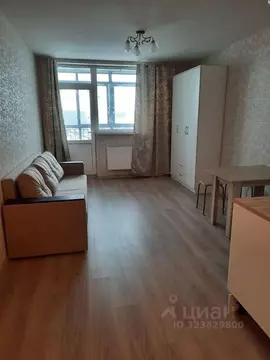 Студия Свердловская область, Екатеринбург ул. Рощинская, 26 (25.0 м)