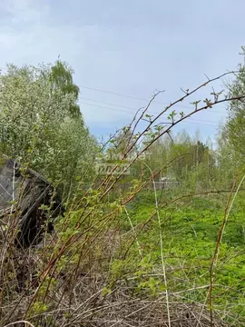 Участок в Томская область, Томский район, с. Межениновка Первомайская ...