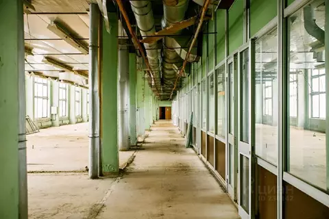 Производственное помещение в Ярославская область, Ростов Савинское ш., ...