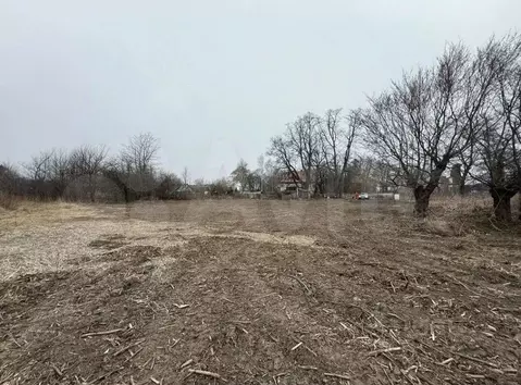 Участок в Калининградская область, Зеленоградский муниципальный округ, ...