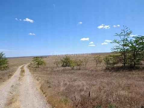 Участок в Крым, Сакский район, Веселовское с/пос, с. Наташино ул. 50 ...