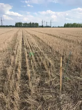 Участок в Тамбовская область, Тамбовский муниципальный округ, д. ...