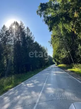 Участок в Новосибирская область, Новосибирский район, Кубовинский ...