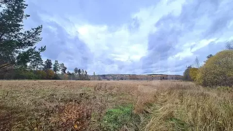 Участок в Ленинградская область, Светогорск Выборгский район,  (263.4 ...