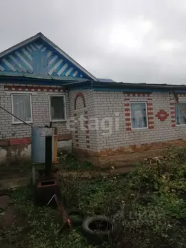 Дом в Татарстан, Альметьевский район, с. Новое Каширово  (70 м)