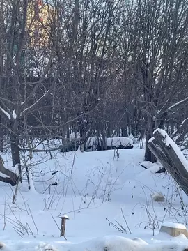 Участок в Свердловская область, Екатеринбург ул. Громова (4.1 сот.)