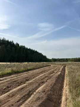 Участок в Московская область, Раменский муниципальный округ, Опушкино ...