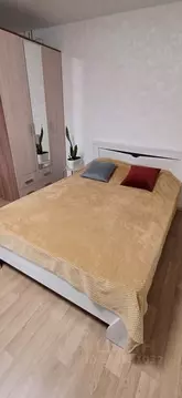 Студия Костромская область, Кострома просп. Мира, 67 (30.0 м)