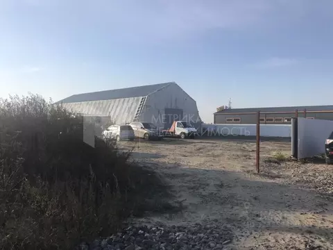 Помещение свободного назначения в Тюменская область, Тюмень Старый ...