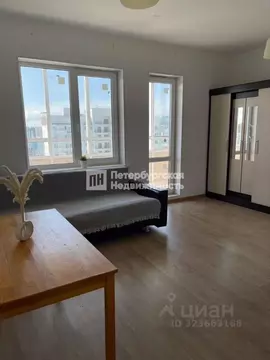 Студия Санкт-Петербург ул. Плесецкая, 20к1 (24.44 м)