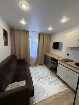 Студия Самарская область, Самара Ялтинская ул., 7 (14.0 м)