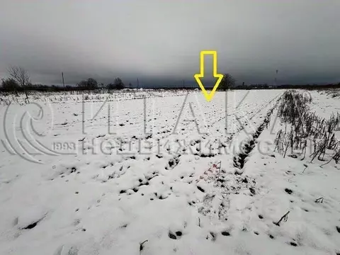 Участок в Ленинградская область, Волосовский район, Рабитицкое с/пос, ...