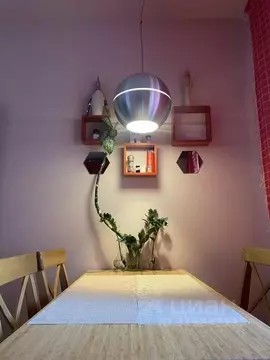 1-к кв. Новосибирская область, Новосибирск ул. Ясный Берег, 9 (38.0 м)