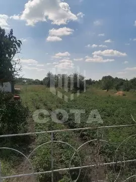 Участок в Воронежская область, с. Новая Усмань ул. Октябрьская (6.01 ...
