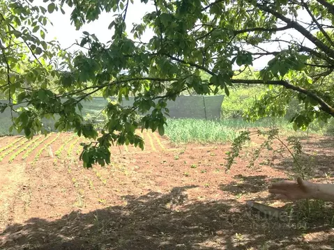 Участок в Белгородская область, Белгородский район, Беломестненское ...